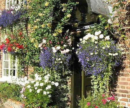 The Alvanley Arms - Inn Cotebrook エクステリア 写真
